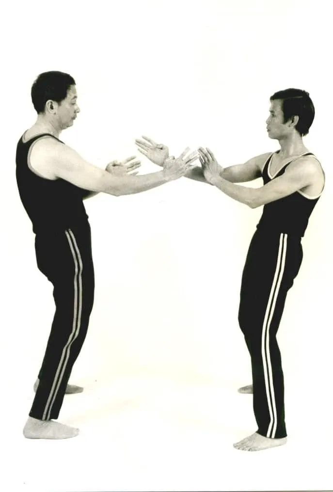 Wong Cze Wing Chi Sau